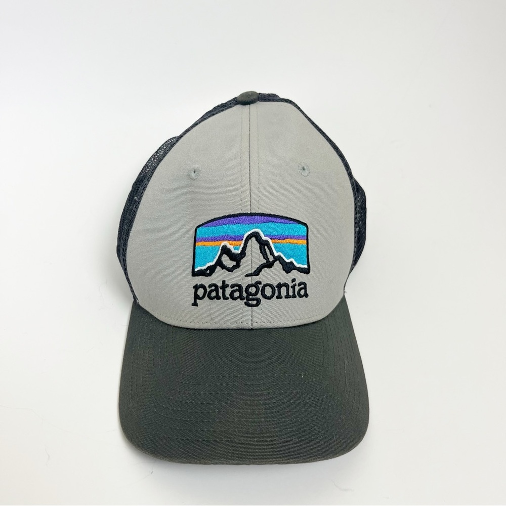 Patagonia Trucker Gray Hat